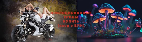 спайс Аркадак