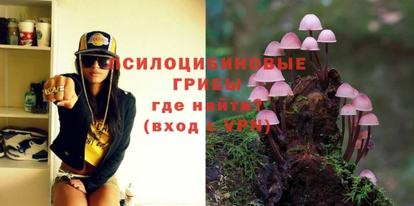 ALPHA PVP Арсеньев